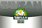 Tavsan Tavsan