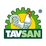 Tavsan Tavsan